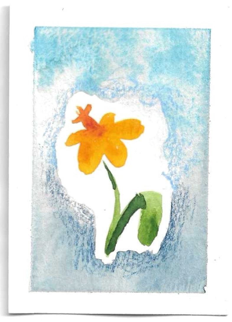#014 Floral with cool background